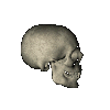 la saga dé tete de mort7
