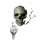 la saga dé tete de mort8
