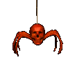 araignée