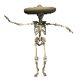 sombrero s9